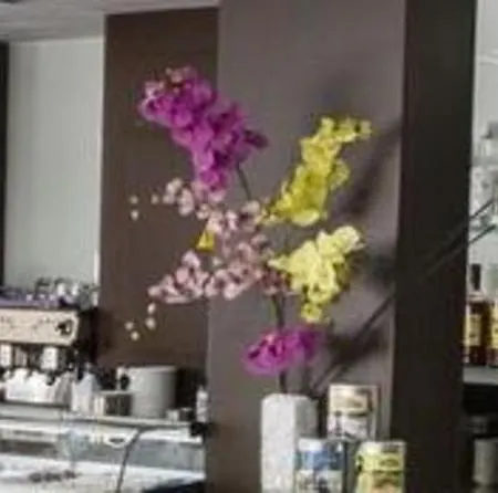 蒙特索尔酒店 貝尼多姆